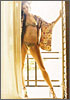 Bridget Moynahan 05