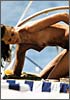 Carmen Kass 06