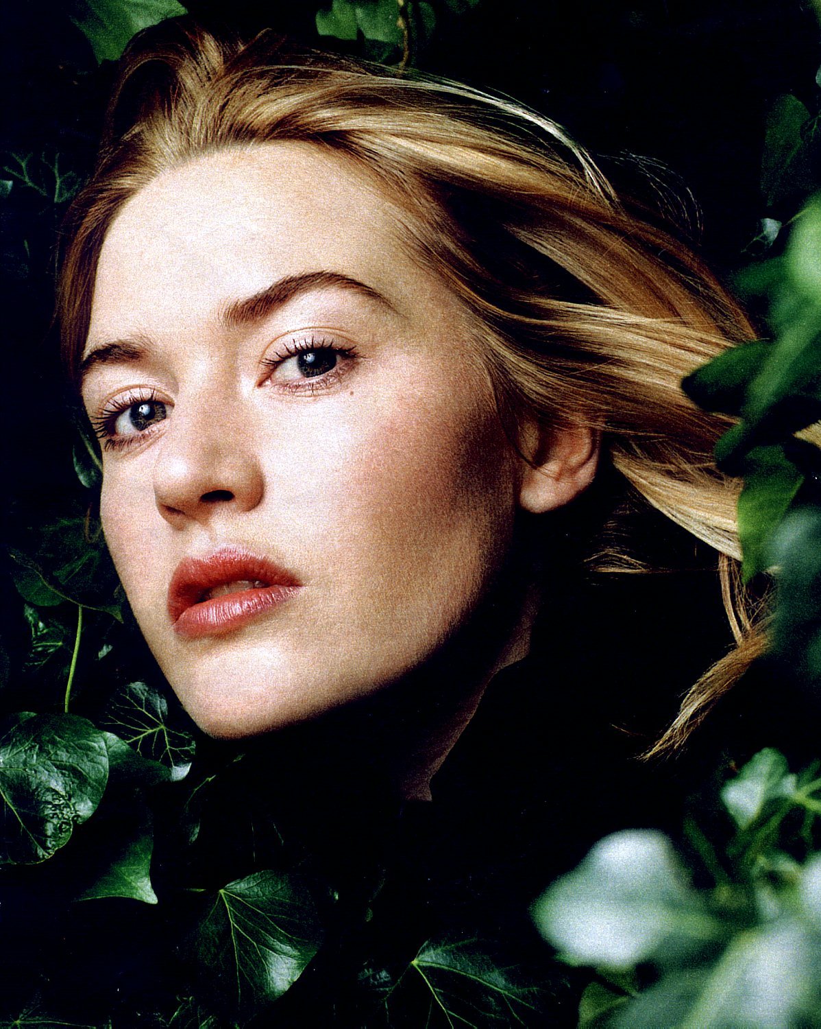 Kate Winslet pages. 