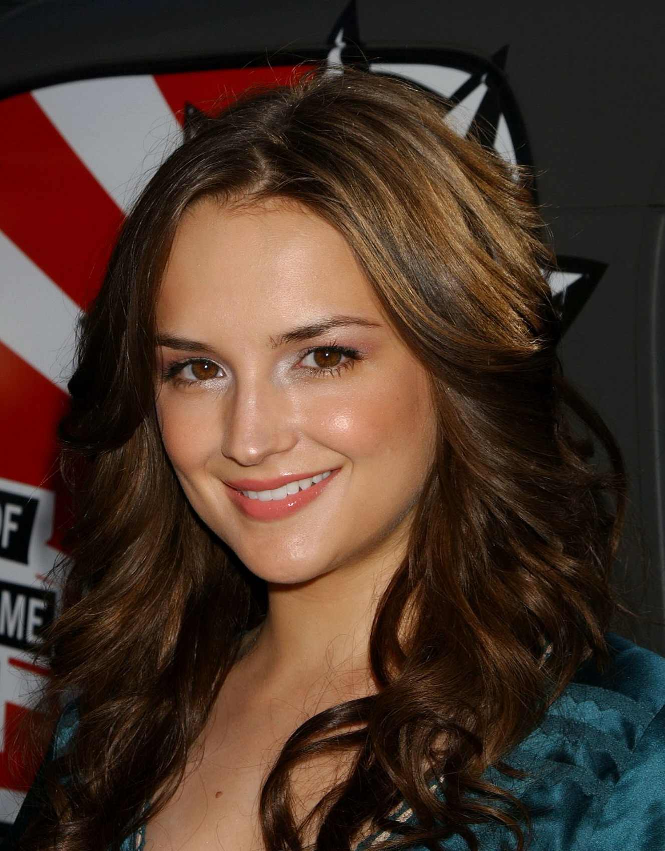 2. 1. Rachael Leigh Cook pages. 