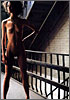 Shalom Harlow 17
