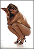 Traci Bingham 14